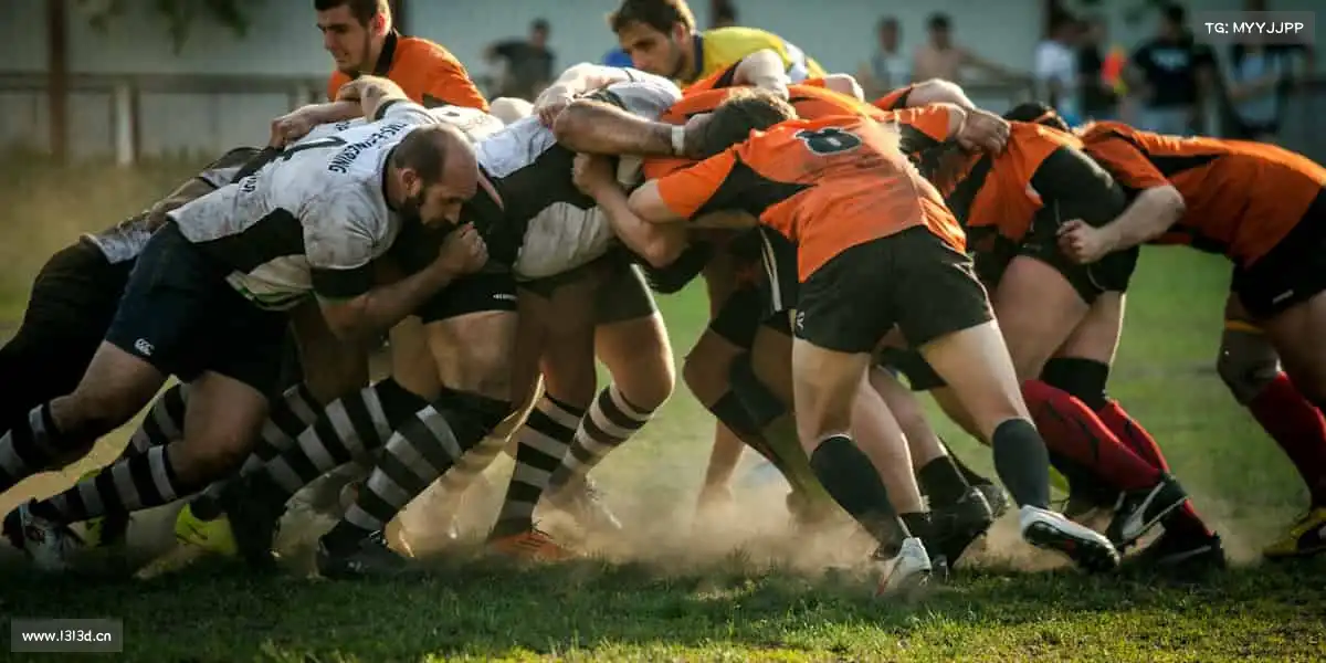 为什么选择我们